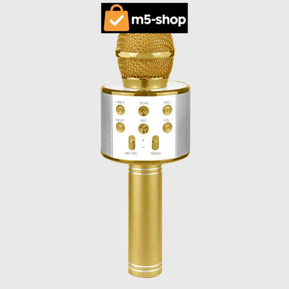 KARAOKE BLUETOOTH MIKROFON Elektronika