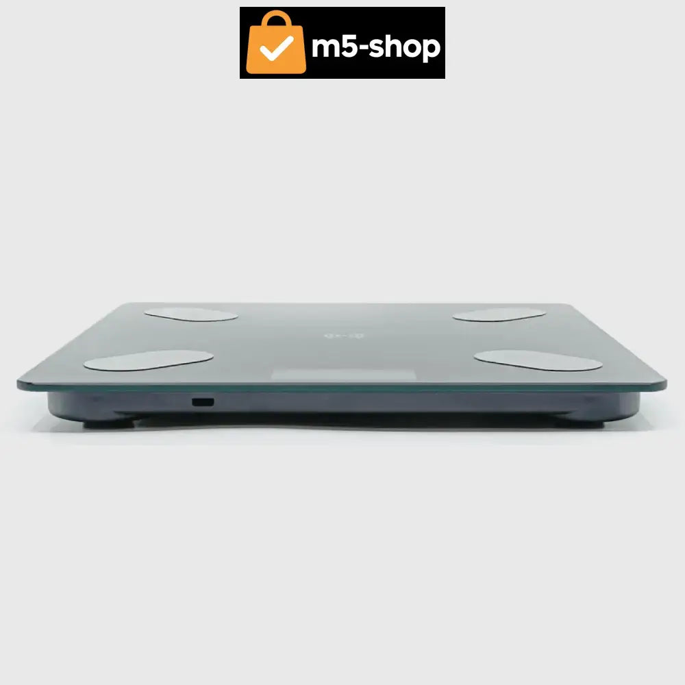 PAMETNA BLUETOOTH VAGA