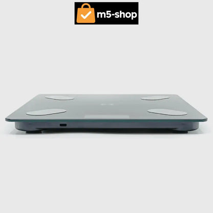 PAMETNA BLUETOOTH VAGA