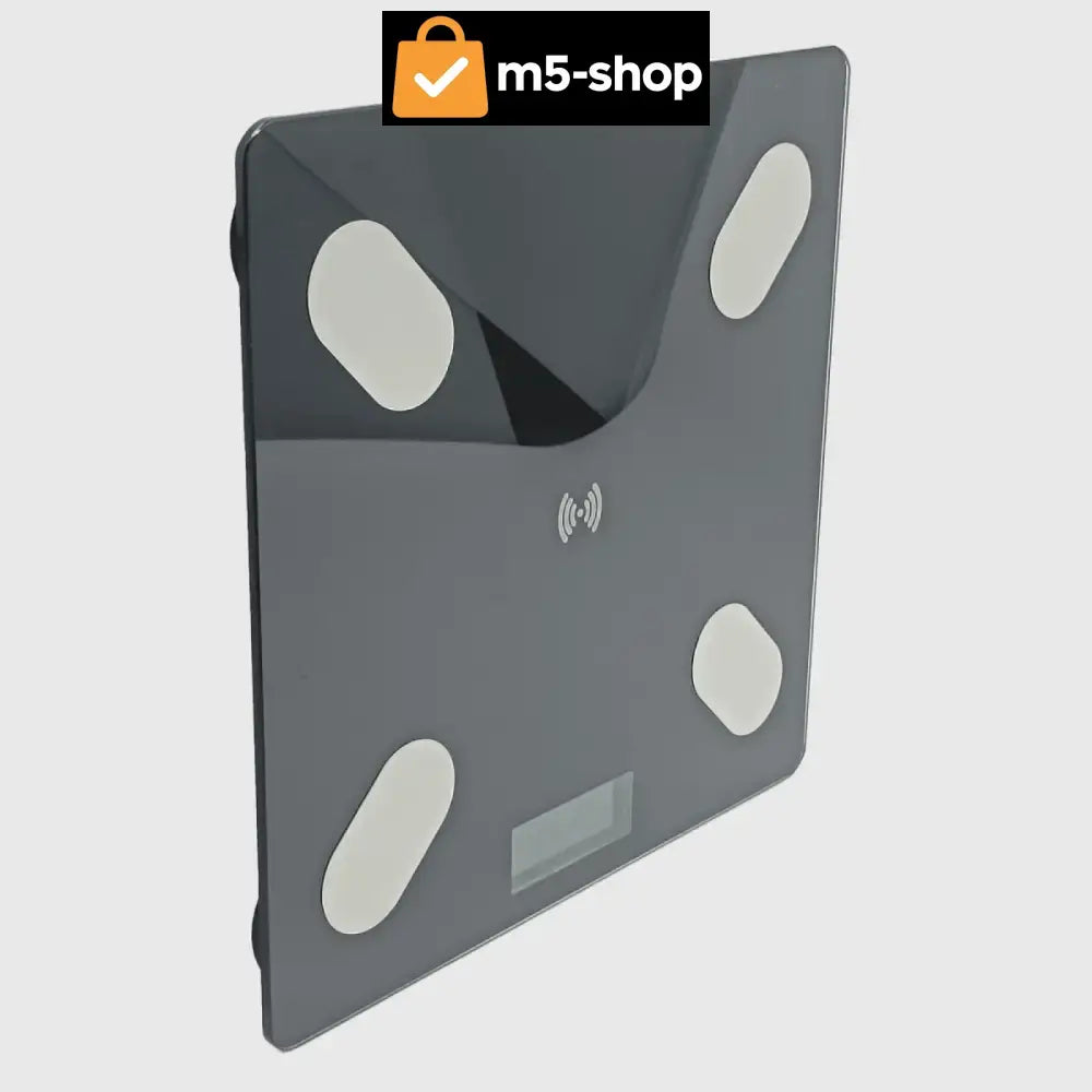 PAMETNA BLUETOOTH VAGA