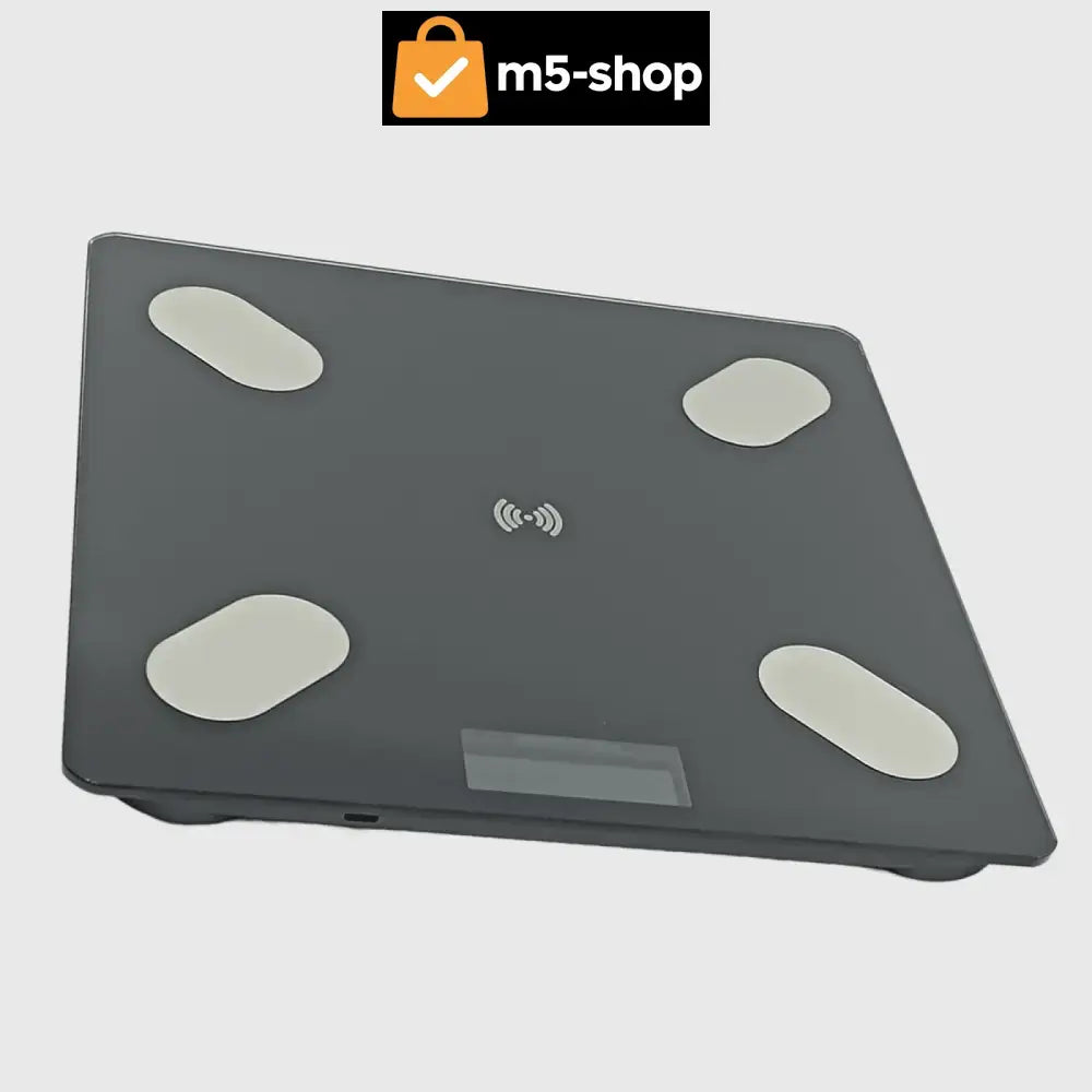 PAMETNA BLUETOOTH VAGA